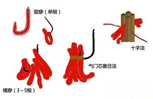 釣魚文化中的紅蟲爭議在釣魚文化中的紅蟲病的真相調查：紅蟲會污染水質嗎？