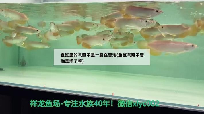 魚缸放在客廳哪個位置最<strong><mark>吉利</mark></strong>，，圓柱形魚缸放在客廳什么位置最<strong><mark>吉利</mark></strong>，魚缸放在客廳哪個位置最<strong><mark>吉利</mark></strong>