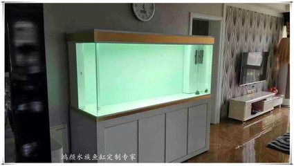 豪華魚缸設(shè)計美學(xué)豪華魚缸設(shè)計美學(xué)豪華魚缸設(shè)計美學(xué)：豪華魚缸價格是多少 豪華魚缸設(shè)計美學(xué)豪華魚缸設(shè)計美學(xué)豪華魚缸設(shè)計美學(xué)：豪華魚缸價格是多少 魚缸百科 第1張