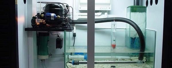 魚缸溢流管的作用與設計魚缸溢流管的作用與作用：底濾魚缸溢流管的作用與設計