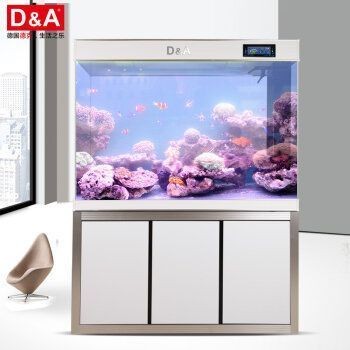 麒麟放魚缸里：麒麟擺放在魚缸上有什么風水禁忌？