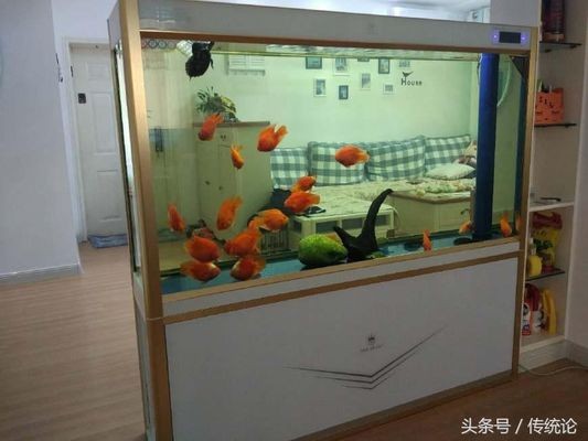 歷城區雅梵水族館（歷城區雅梵水族館地址）