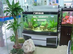 廣州魚(yú)缸清洗公司排名前十名（廣州魚(yú)缸清洗公司）