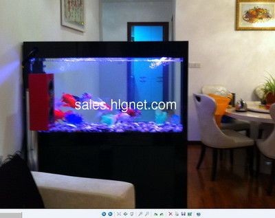 廣州魚(yú)缸清洗公司排名前十名（廣州魚(yú)缸清洗公司）