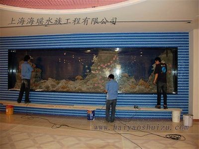泊頭市祥子魚店（泊頭市祥子魚店地址）