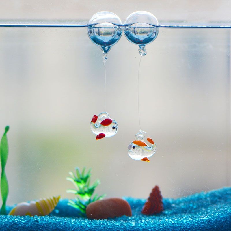 魚缸的水很多泡泡（魚缸水產生泡泡可能是由多種因素引起的，以下是常見的原因）