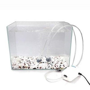 藤縣藤州熱帶魚林觀賞魚經營部（藤縣魚苗批發市場在哪里）