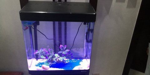 那種魚缸好