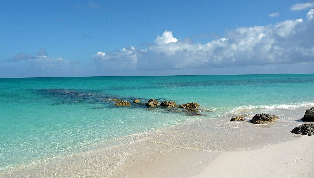<strong><mark>海口</mark></strong>秀英海玲水族館 （<strong><mark>海口</mark></strong>秀英海灘）