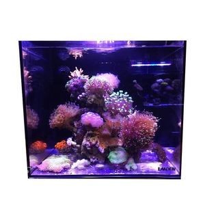 藍甸魚缸安裝視頻大全：藍甸魚缸安裝步驟和注意事項藍甸魚缸安裝步驟和注意事項