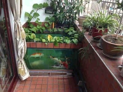 風(fēng)水魚缸放在陽臺養(yǎng)魚風(fēng)水注意事項(xiàng)在陽臺養(yǎng)魚的風(fēng)水講究：如何在陽臺養(yǎng)魚