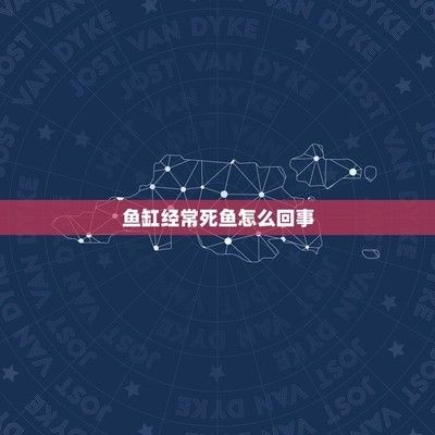 魚缸里的魚為什么老是死是不是當災？：如何正確調節魚缸水質，魚缸內食物殘留處理方法