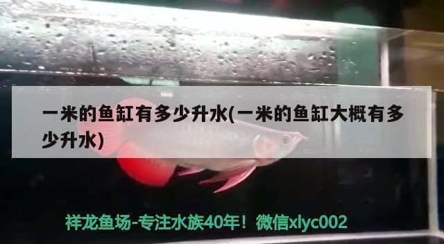 一米的魚缸多少公升水：一米魚缸水量計算公式