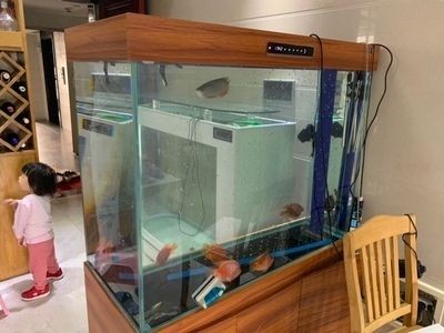 翌美魚缸質量怎么樣：翌美魚缸用戶評價