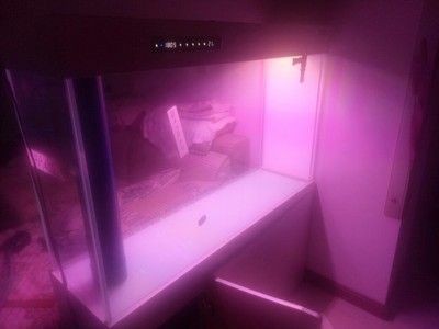 翌美魚缸質量怎么樣：翌美魚缸用戶評價