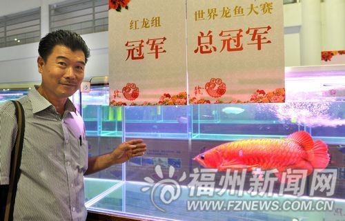 龍魚界總冠軍：2023年長城杯世界龍魚錦標賽冠軍龍魚比賽評判標準詳解