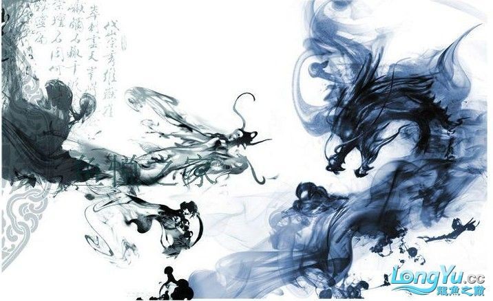 龍魚缸背景圖片大全超清 字畫（龍魚缸背景圖片大全）