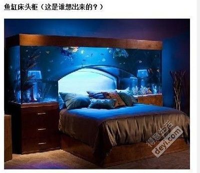 床頭魚缸好不好：床頭擺放魚缸是否適合？ 床頭魚缸好不好：床頭擺放魚缸是否適合？ 魚缸百科 第4張