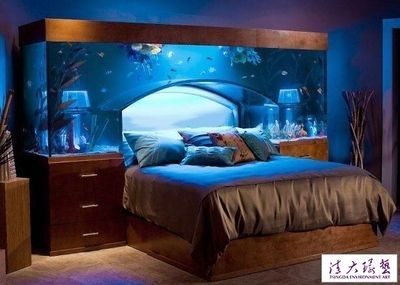 床頭魚缸好不好：床頭擺放魚缸是否適合？ 床頭魚缸好不好：床頭擺放魚缸是否適合？ 魚缸百科 第5張