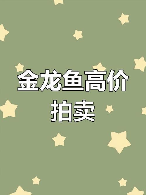 金龍魚的市場價(jià)格有波動嗎？