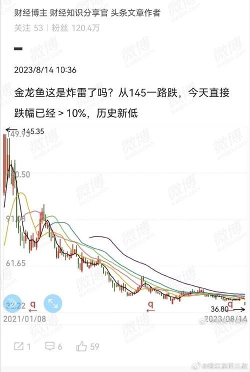 金龍魚的市場價(jià)格有波動嗎？