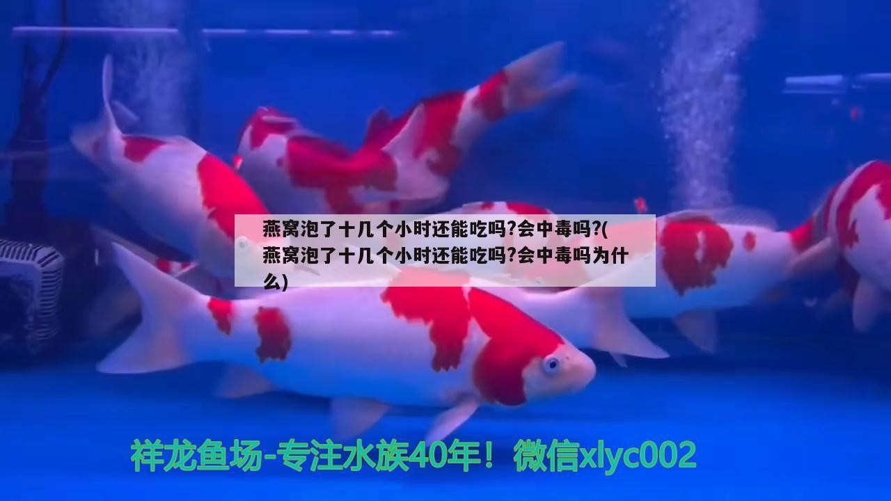 唐山市<strong><mark>古冶</mark></strong>區有佳杰水族店（唐山市<strong><mark>古冶</mark></strong>區有佳杰水族店嗎）