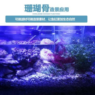 海洋生態揭秘海沙造景魚缸飼養要求和習性要求和習性：水族造景的技巧