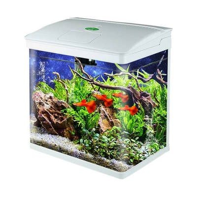 高端品牌魚缸排名前十名（全球頂級魚缸設計欣賞）