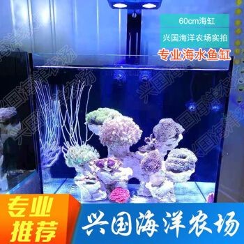 興國海（Singoseafarm）魚缸，興國海（singoseafarm）海水魚缸套裝價格對比 興國海（Singoseafarm）魚缸，興國海（singoseafarm）海水魚缸套裝價格對比 魚缸百科 第4張