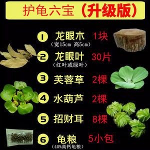 龍眼木放魚缸的功效和作用：龍眼木在魚缸中的作用和功效 龍眼木放魚缸的功效和作用：龍眼木在魚缸中的作用和功效 魚缸百科 第3張