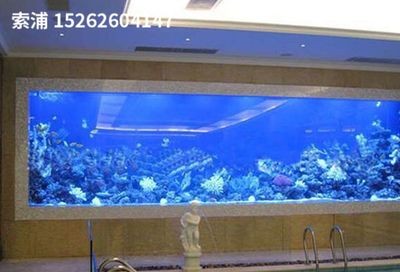 索普魚缸怎么樣好用嗎:家庭養魚的理想選擇 魚缸百科 第4張 索普魚缸怎么樣好用嗎:家庭養魚的理想選擇 索普魚缸怎么樣好用嗎:家庭養魚的理想選擇 魚缸百科 第4張