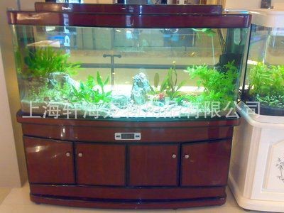 索普魚缸怎么樣好用嗎:家庭養魚的理想選擇 魚缸百科 第2張 索普魚缸怎么樣好用嗎:家庭養魚的理想選擇 索普魚缸怎么樣好用嗎:家庭養魚的理想選擇 魚缸百科 第2張