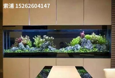 索普魚缸怎么樣好用嗎:家庭養魚的理想選擇 魚缸百科 第5張 索普魚缸怎么樣好用嗎:家庭養魚的理想選擇 索普魚缸怎么樣好用嗎:家庭養魚的理想選擇 魚缸百科 第5張