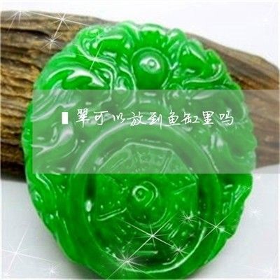 翡翠鐲子放在魚(yú)缸里好不好？：翡翠鐲子可以放在魚(yú)缸里，正確的存放方式是正確的存放