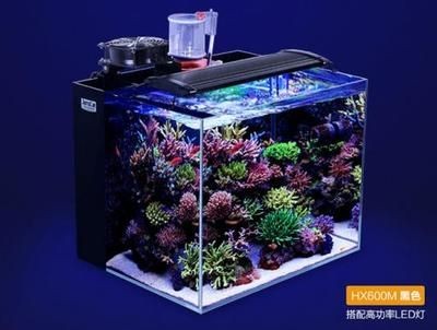 海水魚缸設備布局對于維護水質和魚類健康至關重要至關重要：海水魚缸的設備布局對于維護水質和魚類健康至關重要