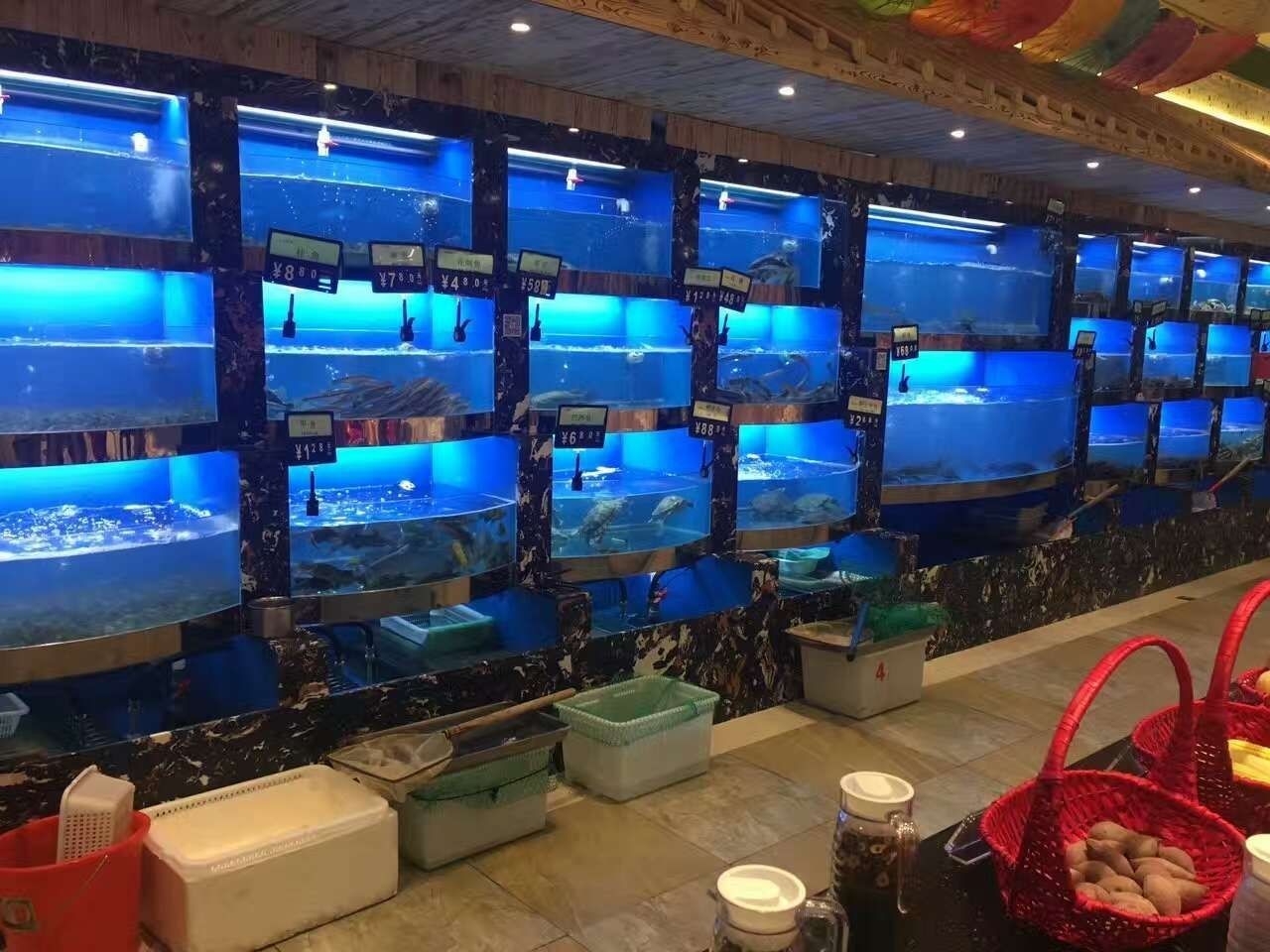飯店二手海鮮魚缸轉(zhuǎn)讓信息可以從以下幾個(gè)方面進(jìn)行考慮：二手海鮮魚缸如何選擇 飯店二手海鮮魚缸轉(zhuǎn)讓信息可以從以下幾個(gè)方面進(jìn)行考慮：二手海鮮魚缸如何選擇 魚缸百科 第3張