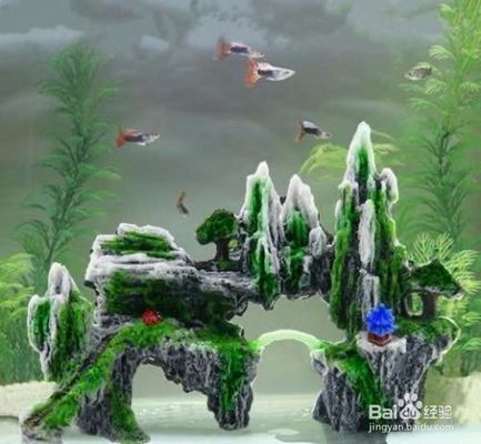 金龍魚缸能造景嗎，金龍魚缸可以造景嗎？