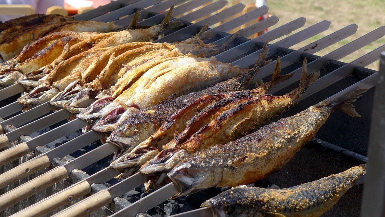 福州市鼓樓區(qū)魚(yú)保姆護(hù)理服務(wù)部（福州市鼓樓區(qū)魚(yú)保姆護(hù)理服務(wù)部地址）