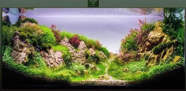 保定市蓮池區徐錦花卉水族館店（保定市<strong><mark>徐水</mark></strong>區花卉市場）