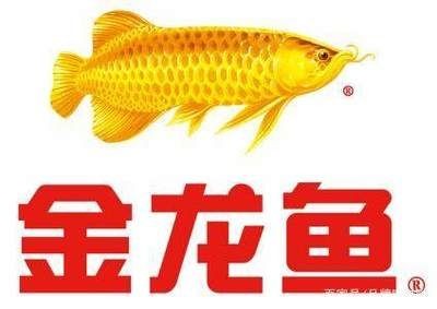 金龍魚營銷案例（金龍魚營銷案例展示）