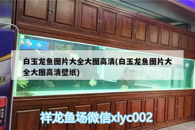 平湖市鼎沁水族館 全國水族館企業名錄 第5張 平湖市鼎沁水族館 平湖市鼎沁水族館 全國水族館企業名錄 第5張