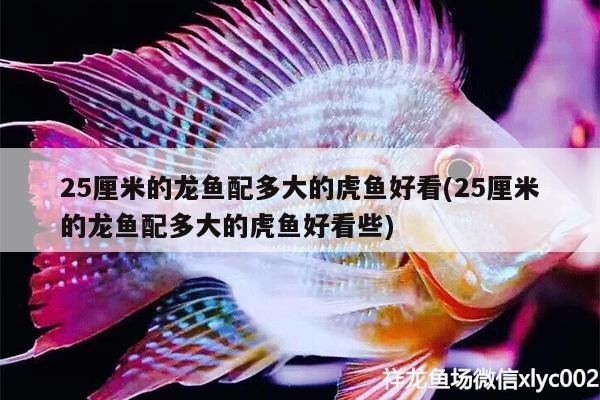 平湖市鼎沁水族館 全國水族館企業名錄 第4張 平湖市鼎沁水族館 平湖市鼎沁水族館 全國水族館企業名錄 第4張