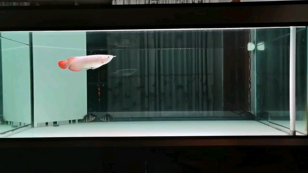 越簡單越好！