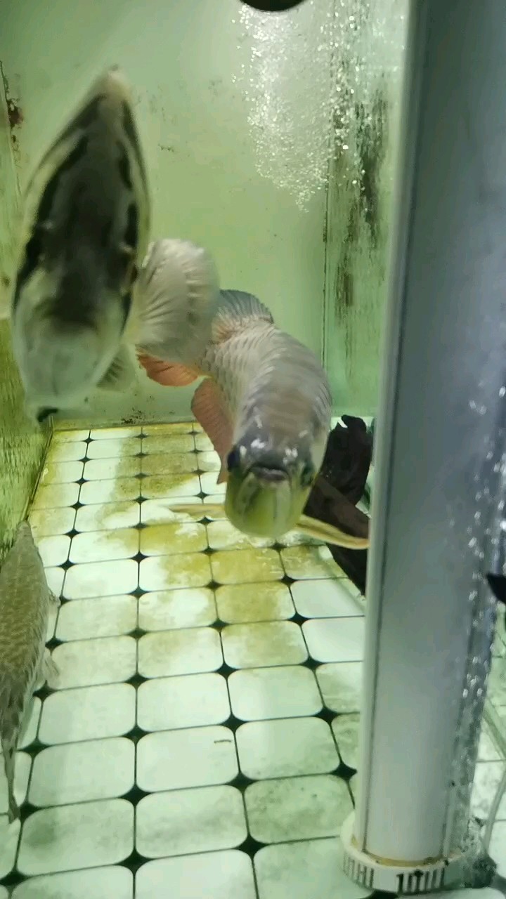 換個角度看看