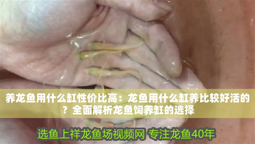 龍魚兇不兇取決于哪些因素？（如何判斷龍魚是否兇猛？）