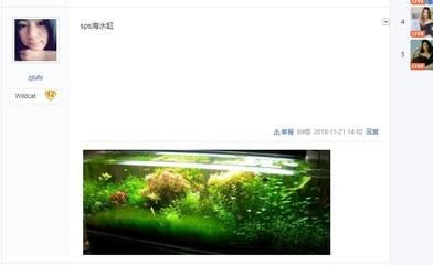 魚缸圖片大全100種（魚缸圖片大全100種,關(guān)于魚缸圖片大全100種查詢）