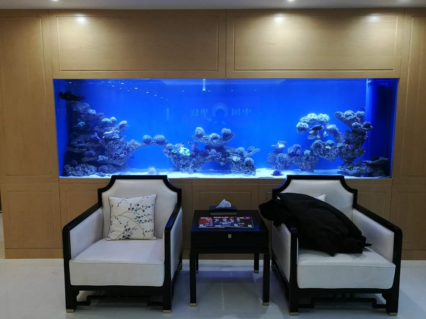 觀賞魚店魚缸設計效果圖（尋找觀賞魚店魚缸設計效果圖和設計建議）