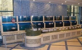 魚缸品質標語大全（魚缸品質標語）