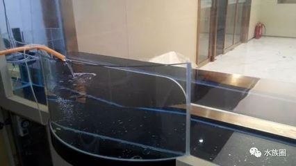 魚缸漂浮：關(guān)于魚缸漂浮的研究