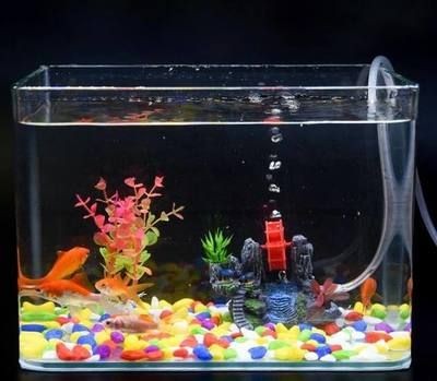 海洋生態魚缸造景設計圖（海洋生態魚缸造景設計圖是一種怎樣的存在？）